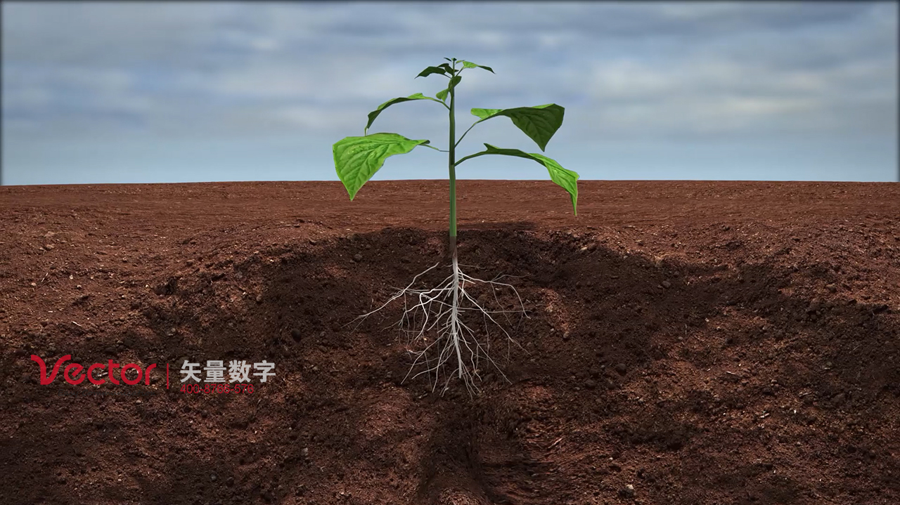 三維動(dòng)畫(huà)制作